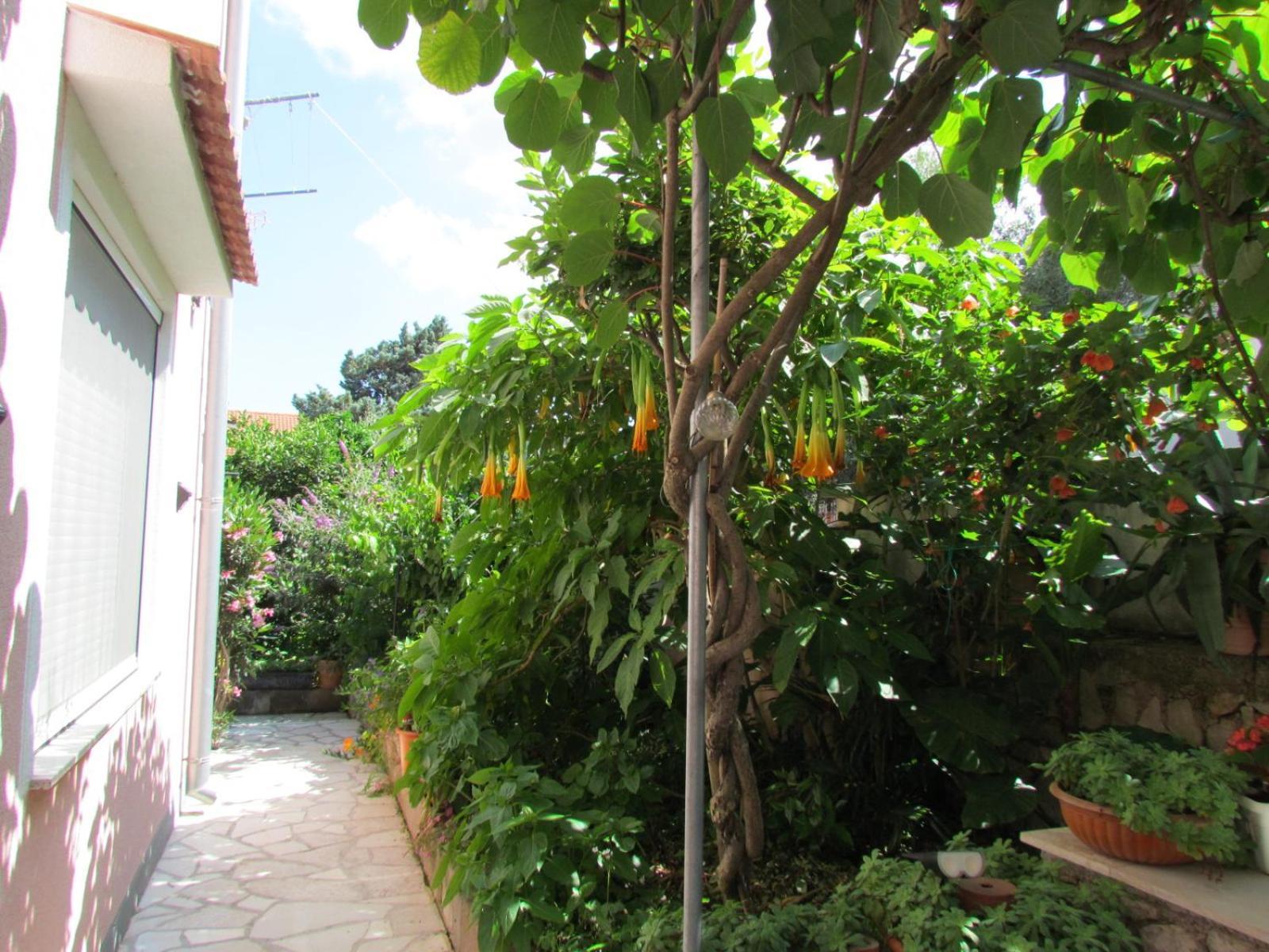 Apartments Bura & Jugo, Cres, Without Stress Dış mekan fotoğraf